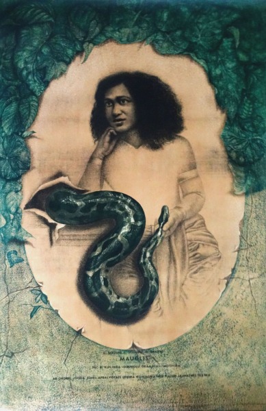 V. Koralčuka plakāts "Mauglis" 91x61 cm