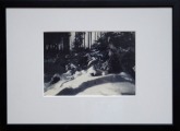 Виллис Ридзениекс (1884-1962)
