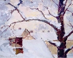 Roofs in the winter