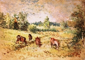 The pasture