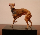 Dog's figure