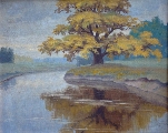 Oak tree by the River