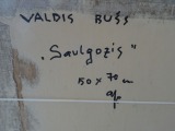 Saulgozis