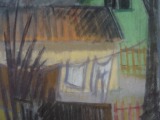 In the yard