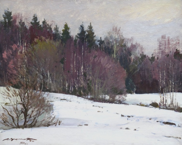 Forest edge in winter