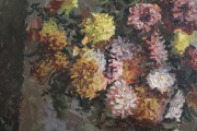Asters