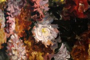 Asters