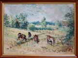 The pasture