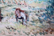 The pasture