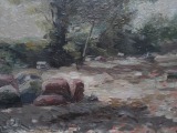 Skulte seashore