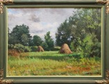 Jaunsaimnieka pļava