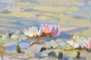 Water lilies