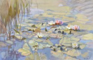 Water lilies