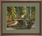  River View