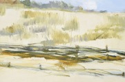Dunes of Carnikava