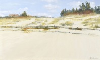 Dunes of Carnikava