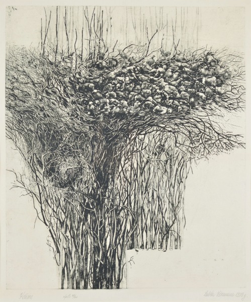Bush