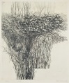 Bush