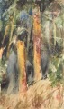 Луч солнца в лесу