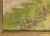 Ainava ar siena gubām