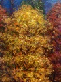 Rudens ūdens. 