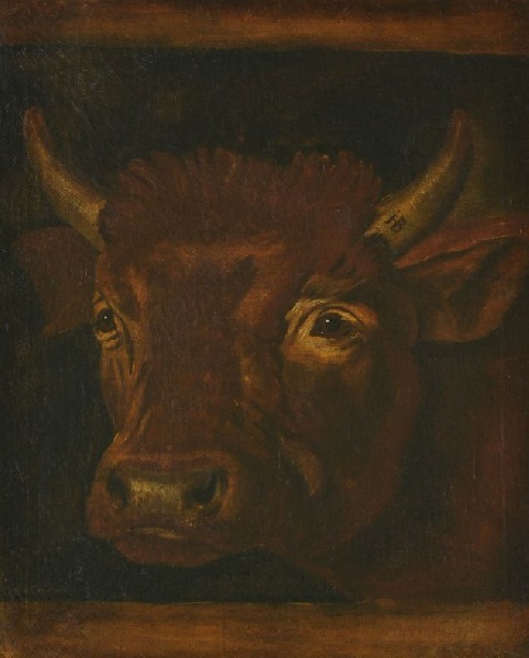 Голова быка - Бауман Йохан Гейнрих - Галерея классического искусства  ANTONIJA