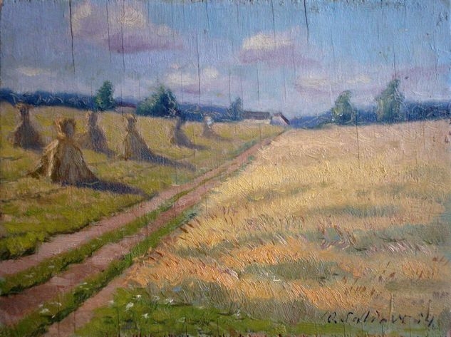The road over the fields