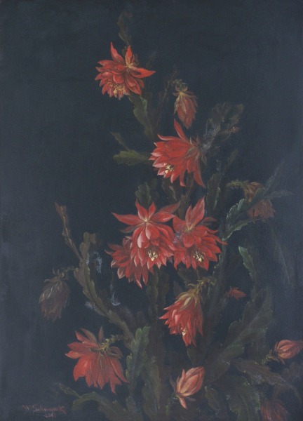 Blooming cactus